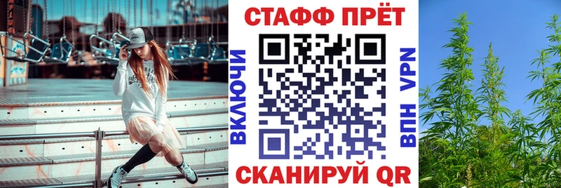 Сколько стоит Злынка kraken онион  ЭКСТАЗИ  ГАШИШ  Меф мяу мяу  COCAIN  АМФ  Каннабис 