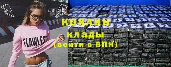 сатива Зеленокумск