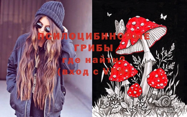 сатива Зеленокумск