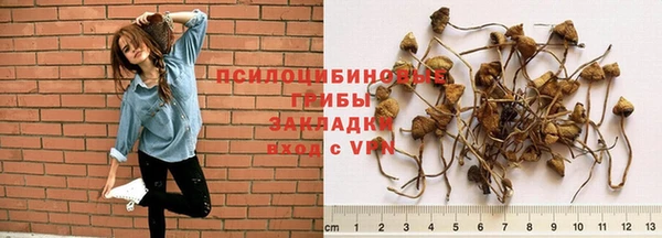 спиды Зерноград