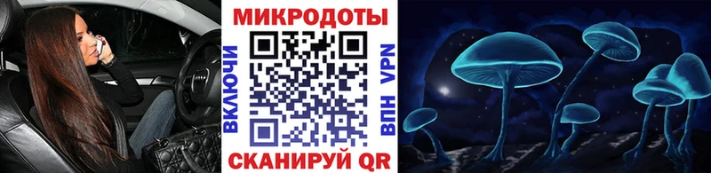 купить наркоту  Злынка  мега ONION  Галлюциногенные грибы Psilocybine cubensis 